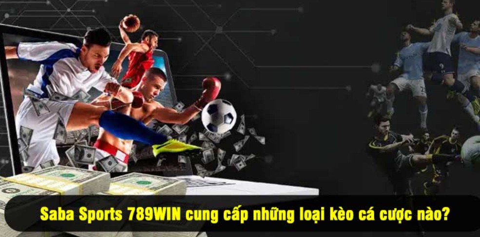 Cá cược quần vợt siêu hấp dẫn