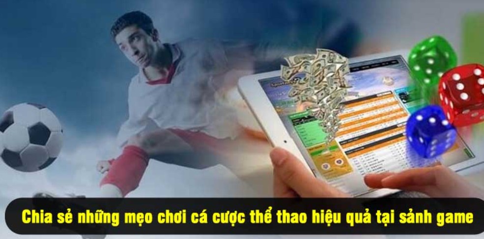 Cá độ bóng rổ chuyên nghiệp