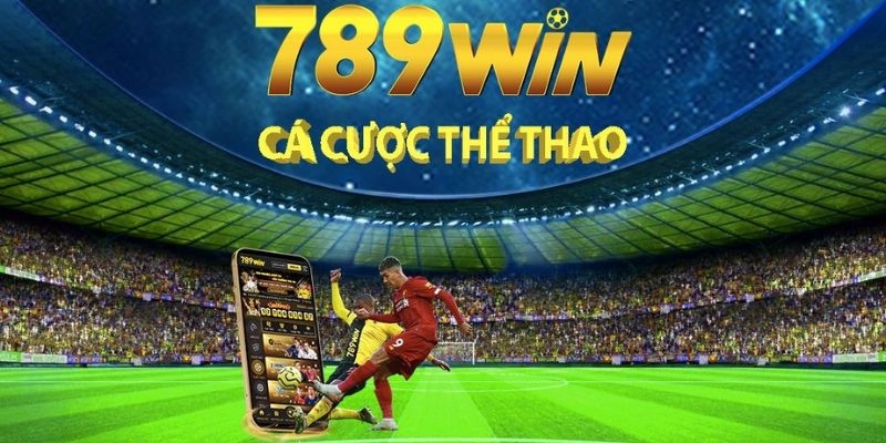 Kèo châu Á chấp một trái