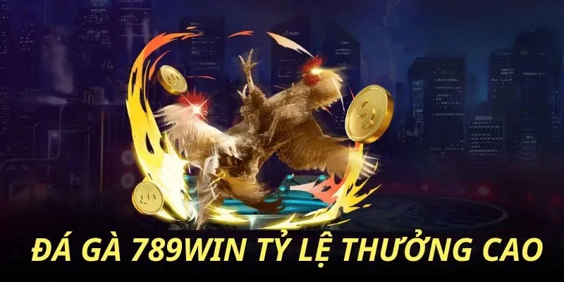Rèn luyện cho gà một đôi cánh dẻo dai